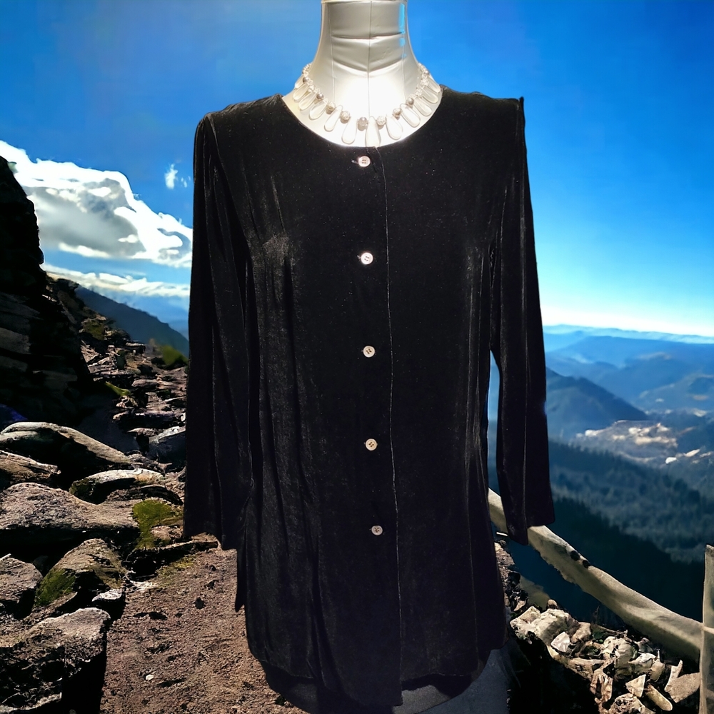 WHEATON & KATZ Ltd. | Black Velvet Long Sleeve Blouse | Size S